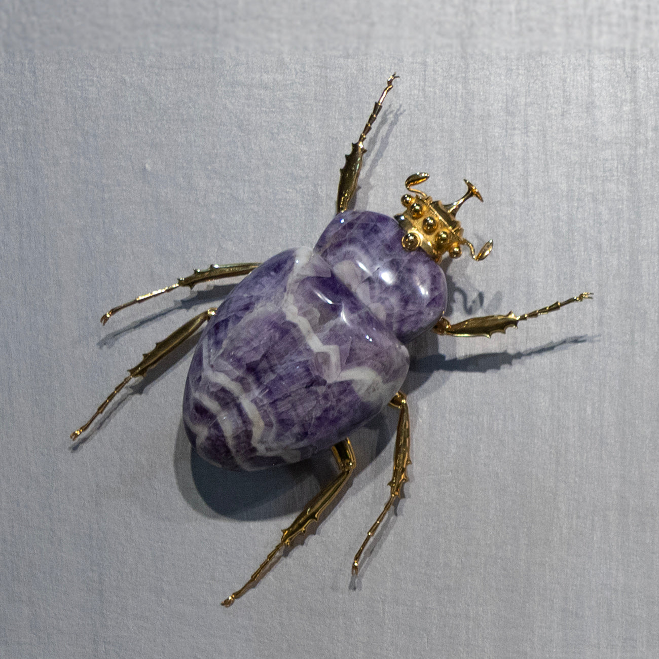 CLIMBING SCARAB