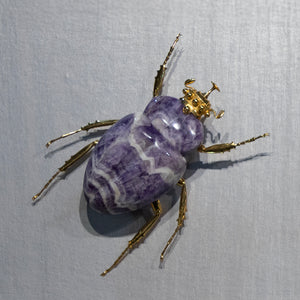 CLIMBING SCARAB