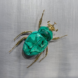 CLIMBING SCARAB