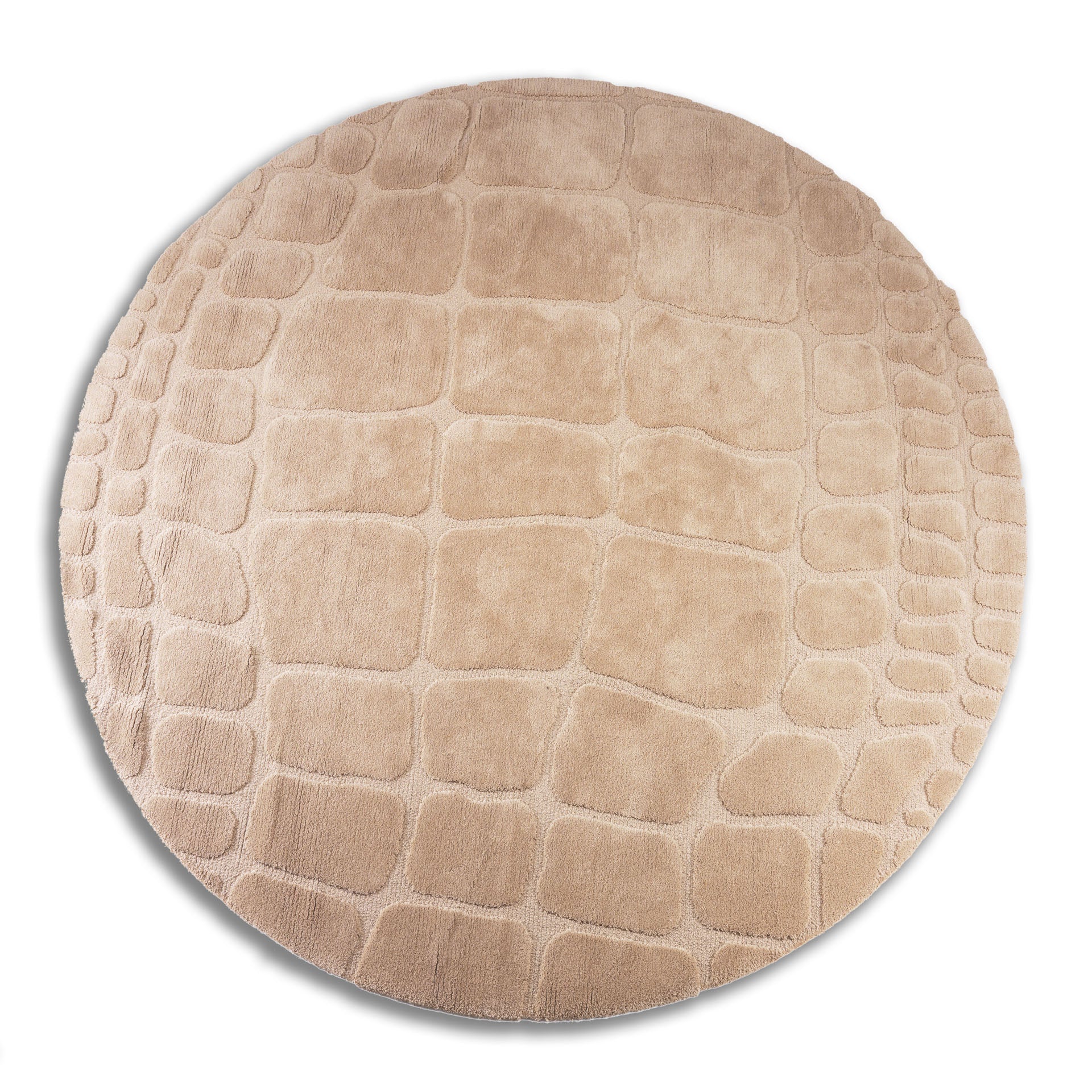 New Cocco - Image 2